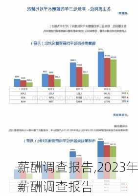 薪酬调查报告,2023年薪酬调查报告