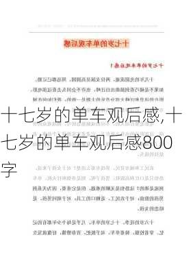 十七岁的单车观后感,十七岁的单车观后感800字