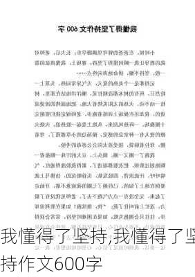 我懂得了坚持,我懂得了坚持作文600字