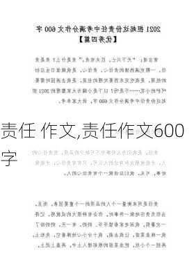 责任 作文,责任作文600字