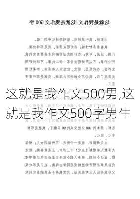 这就是我作文500男,这就是我作文500字男生