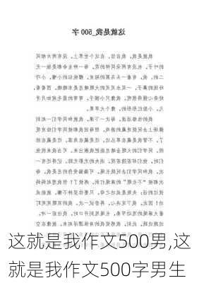 这就是我作文500男,这就是我作文500字男生