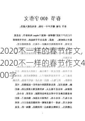 2020不一样的春节作文,2020不一样的春节作文400字