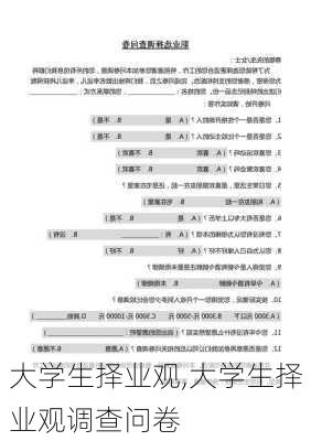 大学生择业观,大学生择业观调查问卷