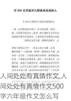 人间处处有真情作文,人间处处有真情作文500字六年级作文怎么写