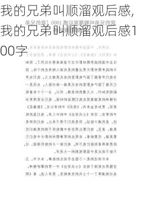 我的兄弟叫顺溜观后感,我的兄弟叫顺溜观后感100字