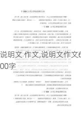 说明文 作文,说明文作文600字