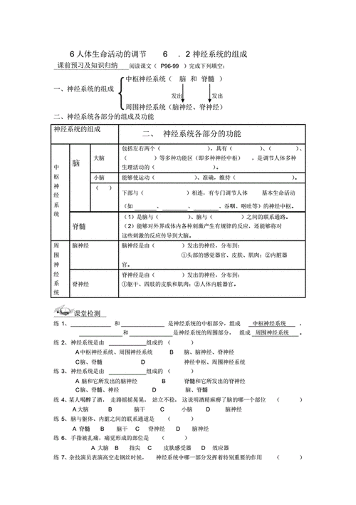 神经系统的组成教案,神经系统的组成教案人教版