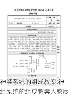 神经系统的组成教案,神经系统的组成教案人教版