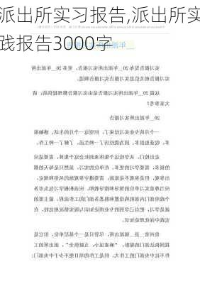 派出所实习报告,派出所实践报告3000字