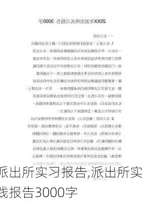 派出所实习报告,派出所实践报告3000字