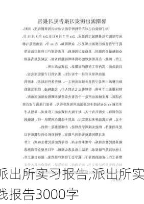 派出所实习报告,派出所实践报告3000字