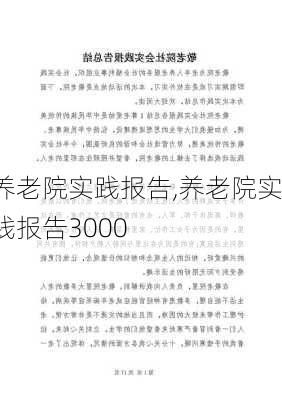 养老院实践报告,养老院实践报告3000