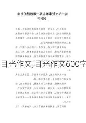 目光作文,目光作文600字