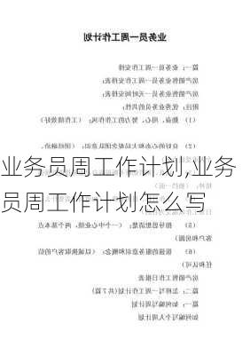 业务员周工作计划,业务员周工作计划怎么写