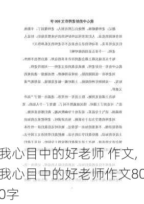 我心目中的好老师 作文,我心目中的好老师作文800字