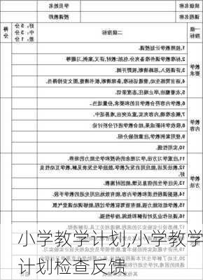 小学教学计划,小学教学计划检查反馈