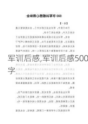 军训后感,军训后感500字