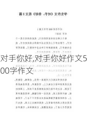 对手你好,对手你好作文500字作文