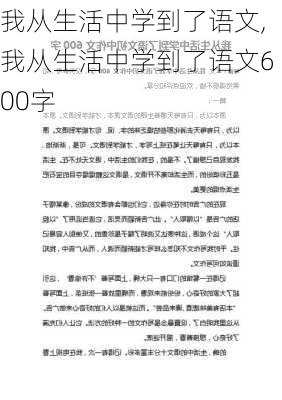 我从生活中学到了语文,我从生活中学到了语文600字