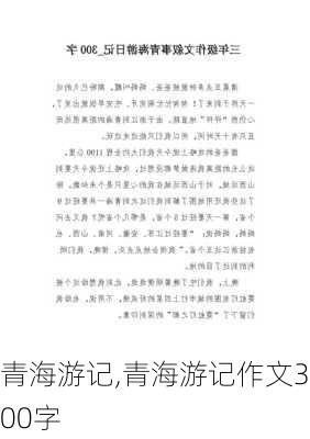 青海游记,青海游记作文300字