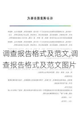 调查报告格式及范文,调查报告格式及范文图片