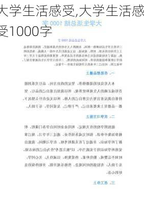 大学生活感受,大学生活感受1000字