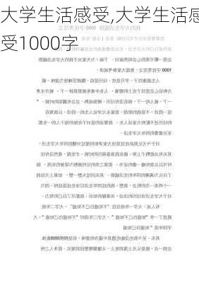 大学生活感受,大学生活感受1000字