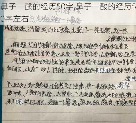 鼻子一酸的经历50字,鼻子一酸的经历50字左右