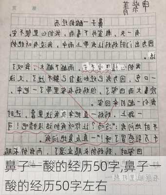 鼻子一酸的经历50字,鼻子一酸的经历50字左右