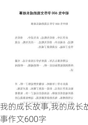 我的成长故事,我的成长故事作文600字