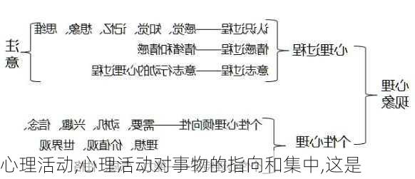 心理活动,心理活动对事物的指向和集中,这是