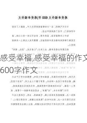 感受幸福,感受幸福的作文600字作文