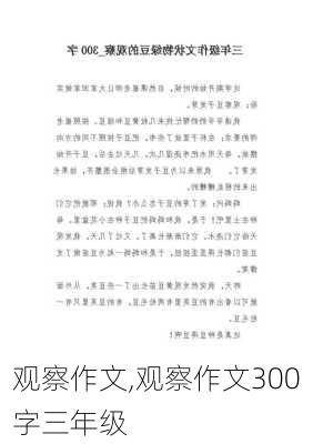 观察作文,观察作文300字三年级