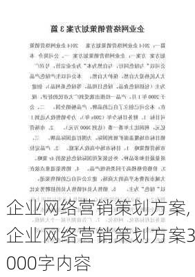 企业网络营销策划方案,企业网络营销策划方案3000字内容