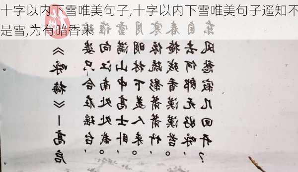 十字以内下雪唯美句子,十字以内下雪唯美句子遥知不是雪,为有暗香来