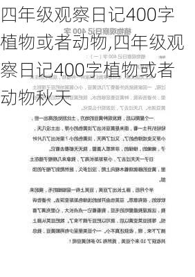 四年级观察日记400字植物或者动物,四年级观察日记400字植物或者动物秋天