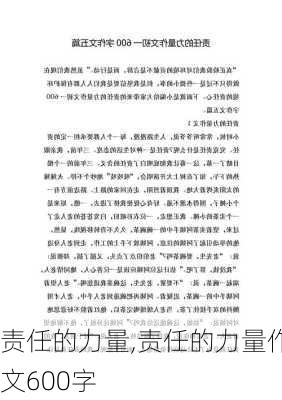 责任的力量,责任的力量作文600字