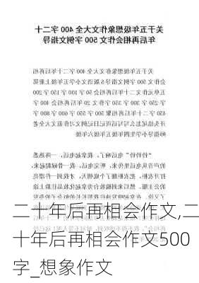 二十年后再相会作文,二十年后再相会作文500字_想象作文