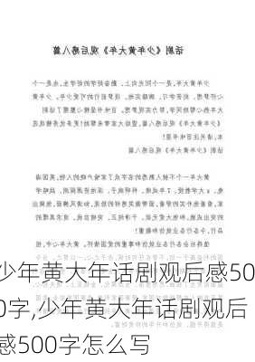 少年黄大年话剧观后感500字,少年黄大年话剧观后感500字怎么写