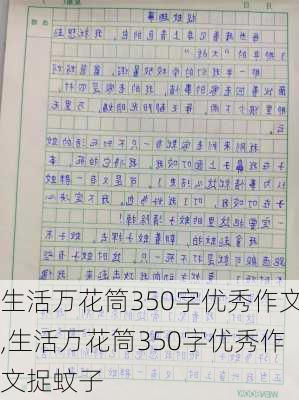 生活万花筒350字优秀作文,生活万花筒350字优秀作文捉蚊子