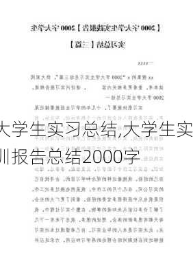 大学生实习总结,大学生实训报告总结2000字