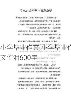 小学毕业作文,小学毕业作文催泪600字