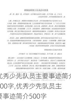 优秀少先队员主要事迹简介300字,优秀少先队员主要事迹简介500字