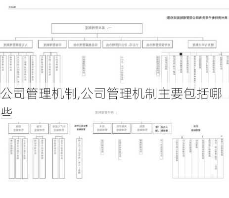 公司管理机制,公司管理机制主要包括哪些