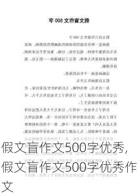 假文盲作文500字优秀,假文盲作文500字优秀作文