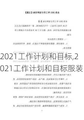 2021工作计划和目标,2021工作计划和目标服装