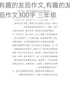 有趣的发现作文,有趣的发现作文300字 三年级