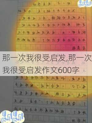 那一次我很受启发,那一次我很受启发作文600字