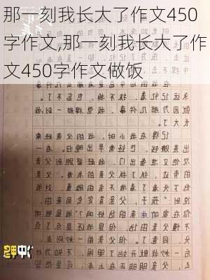 那一刻我长大了作文450字作文,那一刻我长大了作文450字作文做饭